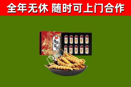 兰州回收冬虫夏草价格